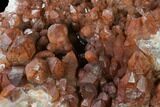 Natural, Red Quartz Crystal Cluster - Morocco #138897-3